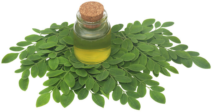 Moringa leaves with extract