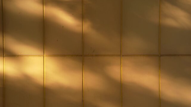 Yellow Tiled Wall with Shadows of Swaying Tree Branches