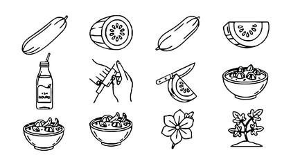 Ash gourd vegetable benefits and recipes outline vector design