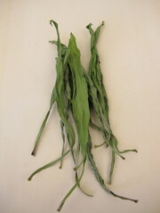 Dried ribwort plantain leaves f&uuml;r herbal remedy