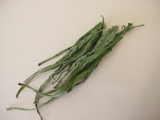 Dried ribwort plantain leaves f&uuml;r herbal remedy