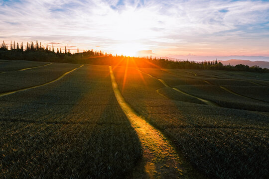Aerial view of the sun's radiant glow over the vast, verdant fields and distant tree line, casting long shadows and highlighting the textured landscape, Polomolok, SOCCSKSARGEN, Philippines.