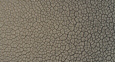 Naklejka premium Detailed texture of dry cracked earth, showing polygonal patterns from drought and arid conditions, abstract background.