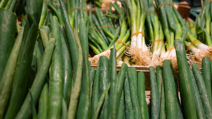 Fototapeta premium Close-up fresh green onions in market crate