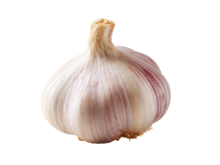 A single bulb of garlic with distinct purple streaks on white paper skin