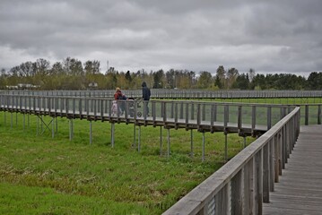 Pedestrian bridges for walking.