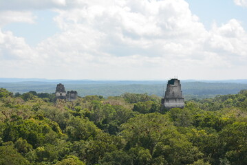 密林に浮かぶティカル遺跡