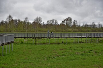 Pedestrian bridges for walking.
