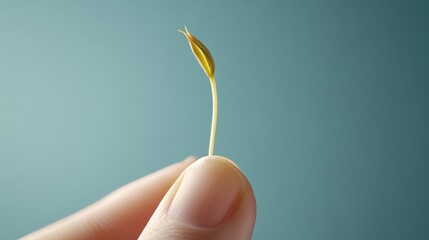 Hand holding a sprout with a blurred background