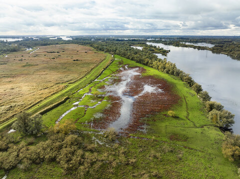 Aerial view of serene creek embracing the vibrant green and red land in national park Biesbosch, the biggest freshwater tidal area in Europe, Noord-Brabant, Netherlands