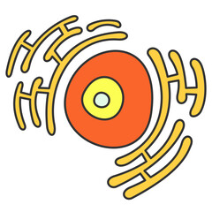 Nucleolus and endoplasmic reticulum