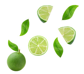 Lime fruit composition isolated on white background. Healthy eating and food concept. Citrus fruits arrangement. Top view, flat lay, design element