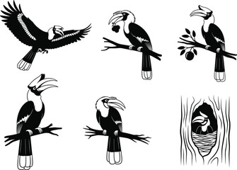 Detailed hornbill bird silhouette vector illustration set showing flying, perching, feeding, and nesting poses, ideal for wildlife artwork, nature themes, and tropical design projects © Abida