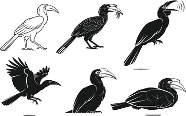 Detailed hornbill bird silhouette and line art illustration set, showcasing flying, perching, feeding, and resting poses in a high-quality wildlife vector artwork collection