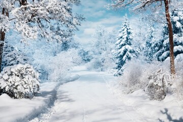 Snowy winter road through forest with blue sky background