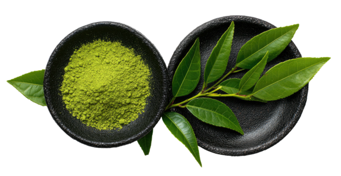 Vibrant green powder in a bowl next to fresh tea leaves