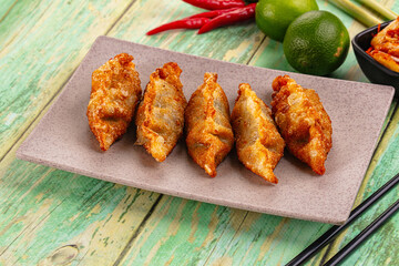 Asian fried stuffed dumplings gyoza