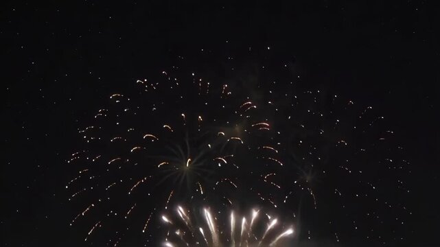 Vibrant fireworks light up the night sky during festive