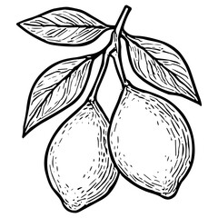 Glass of lemon juice