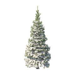 Fir (conifer) snow covered isolated transparent background 3d rendering PNG 16 bit

