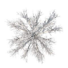 Tree snow covered isolated top view transparent background 3d rendering PNG 16 bit 
