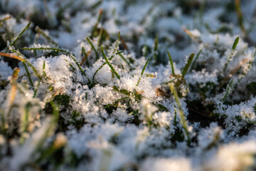 Closeup View of Fresh Snow Covering Green Grass
