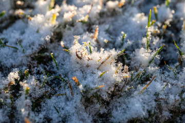 Macro View of Snow Crystals Covering Green Grass