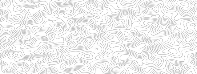 Topographic contour lines seamless pattern detailed cartography relief map great for backgrounds and textures