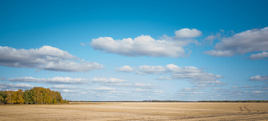 a serene rural landscape featuring a harvested field with golden hues. A line of trees with autumn foliage stands under a vast sky dotted with fluffy white clouds