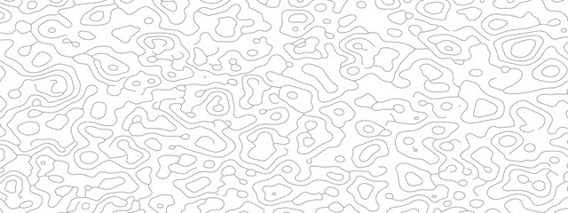 Fototapeta premium Abstract white background with a seamless pattern of gray contour lines.