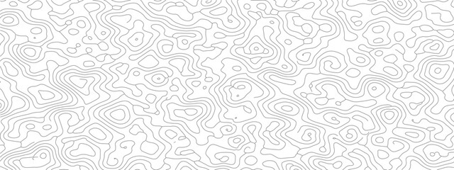 Abstract white background with subtle gray organic lines and fluid shapes.