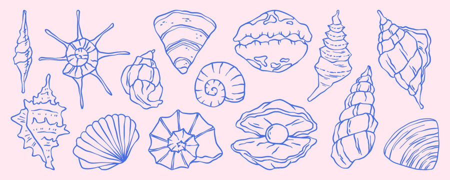 Vintage seashell and coastal doodle illustration with beach elements. Hand drawn scallop shell vector with ocean and nautical details in retro style. Marine sketch for summer travel designs.