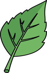 Obraz premium Illustration of a single, stylized green leaf with visible veins and a short stem.