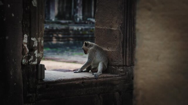 Ancient stone faces at sunset of Bayon temple, Angkor Wat, Siam