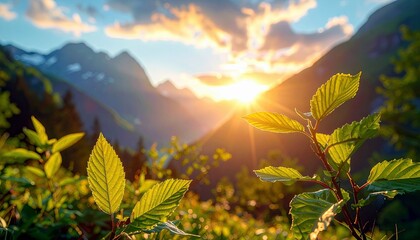 A vibrant sunrise casts a warm glow over a mountain landscape, with foreground leaves catching the golden light.