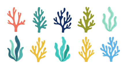 A vibrant collection of whimsical seaweed in joyful hues evoking the magic of the ocean depths on transparent background