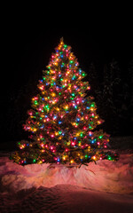 Christmas tree in the dark with its colorful lights on in the cold snow