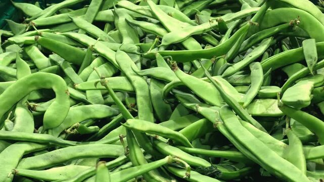 Green bean pods on display at a farm store, concept of harvest. High quality 4k footage