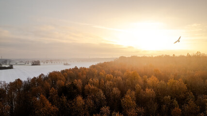 Atmospheric aerial view at sunrise with warm golden light illuminating an autumn forest and a river in the background. The morning fog and the glowing horizon create a calm, peaceful mood in this scen