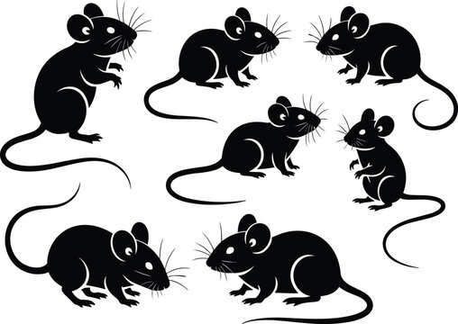 Mouse silhouette set, stylized poses with whiskers and tails, black vector illustration, small animal design, rodent motion sketch