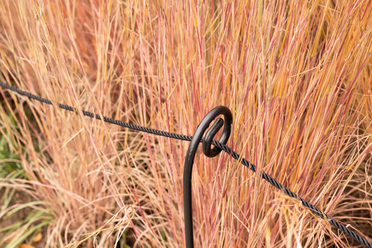 Decorative grass stems in warm autumn colors with a black twisted metal rope  - Powered by Adobe