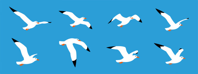 Set of flying seagulls in various positions, isolated on a blue background.