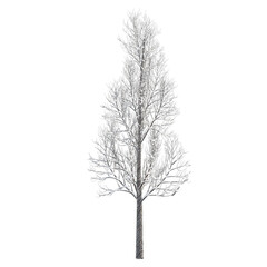 Fototapeta premium Tree snow covered isolated transparent background sketch PNG 