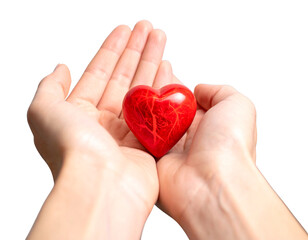 Obraz premium Close-Up of Hands Giving Heart for Organ Donation Awareness, isolated on a transparent background.