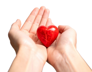  Close-Up of Hands Giving Heart for Organ Donation Awareness, isolated on a transparent background.