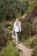Fototapeta premium Woman hiking on a sunny forest trail on the slopes of Bennachie, Scotland