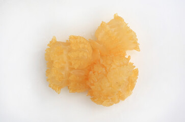 Cannonball Jellyfish (Stomolophus meleagris) against white background. A raw, unique, and gelatinous seafood. Top view.