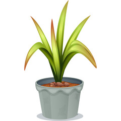 A Potted Green Plant With Long Leaves And Brown Edges Sits In A Gray Pot On A White Background