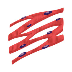 Cardiac muscles tissue with specific function. Medical poster design illustration. Science educational symbol