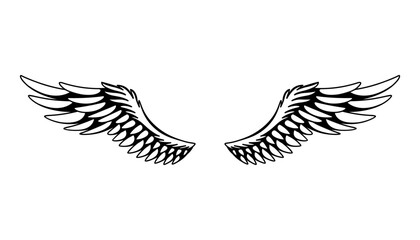 Wings sketch. Stylized birds wings. Hand drawn contoured stiker wing in open position. Vector design elements in coloring style